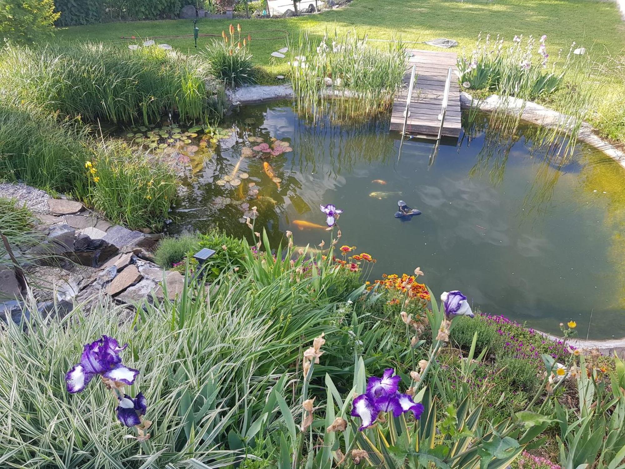 Wohlfuehlen Am Gartenteich Oberzissen Экстерьер фото